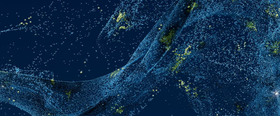 UNI_Universe_Hero_Desktop_Partner_02