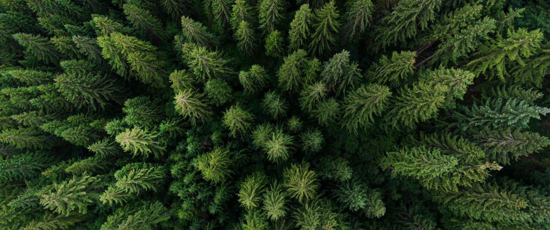 GLS_iStock-1363689354_DKart_1100x460web