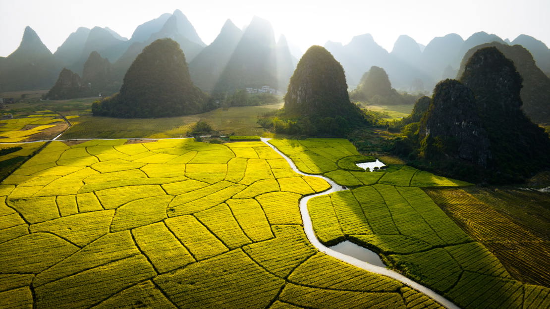 iStock-1456756745