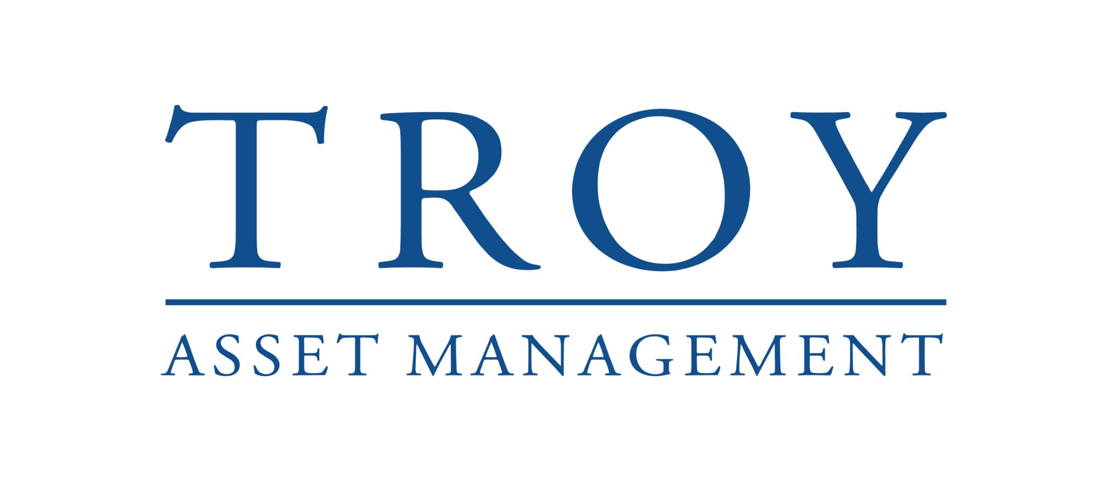 Logo Troy Universe partner page