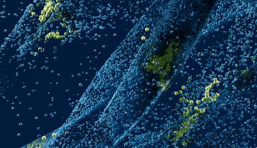 UNI_Universe_Distributor_Partner_02