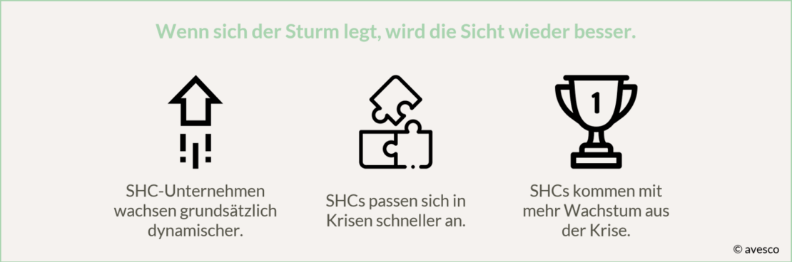 Small-Caps-Krisenresistenz-1200x398