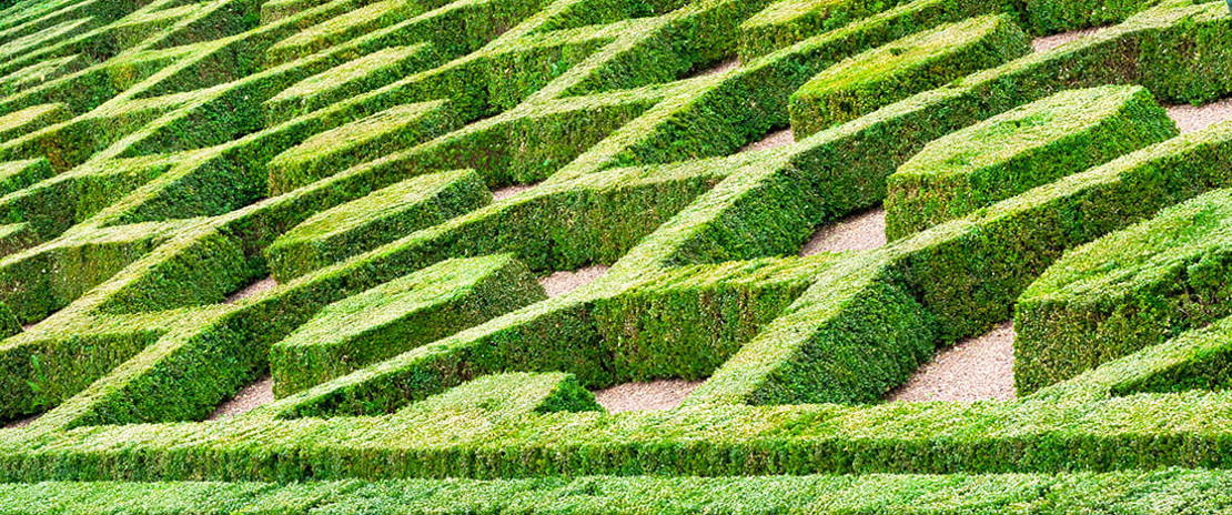 iStock-531608737_justhavealook_web_1100x460